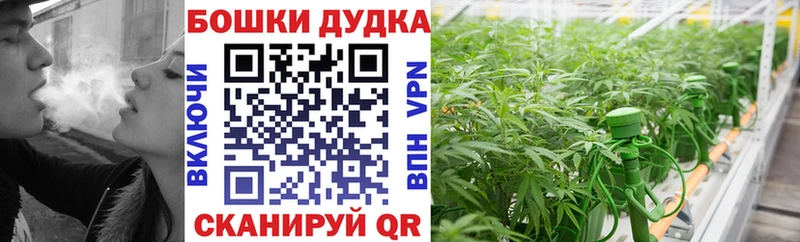 Конопля Amnesia Сенгилей